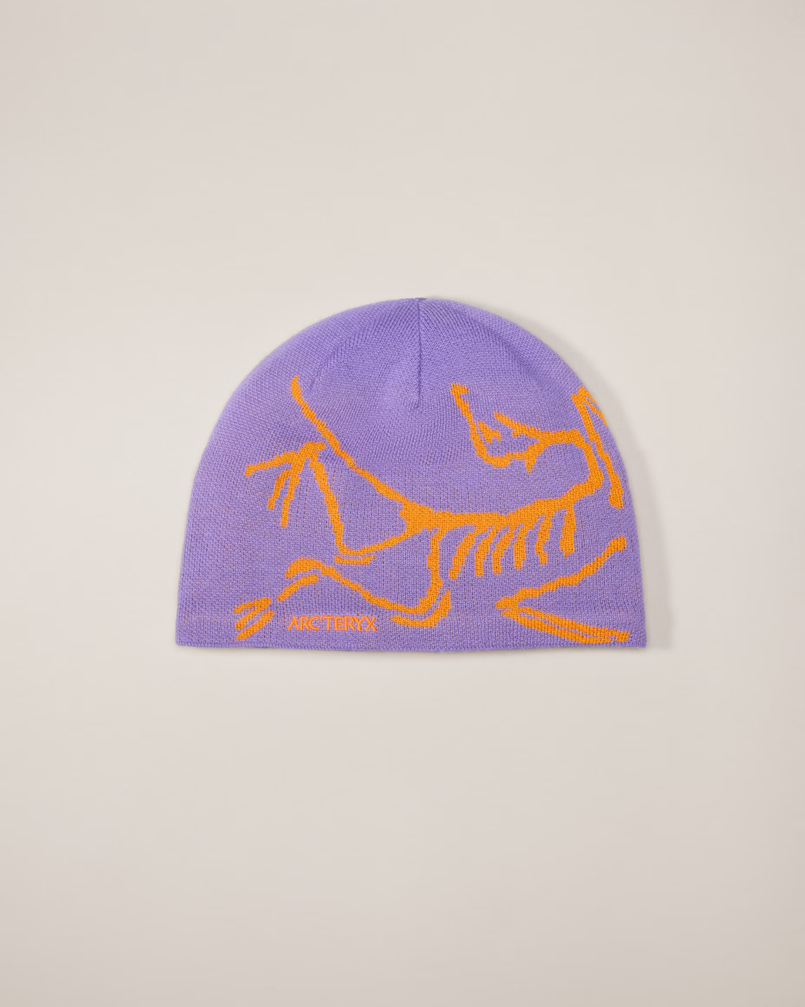 Arc Crest Beanie