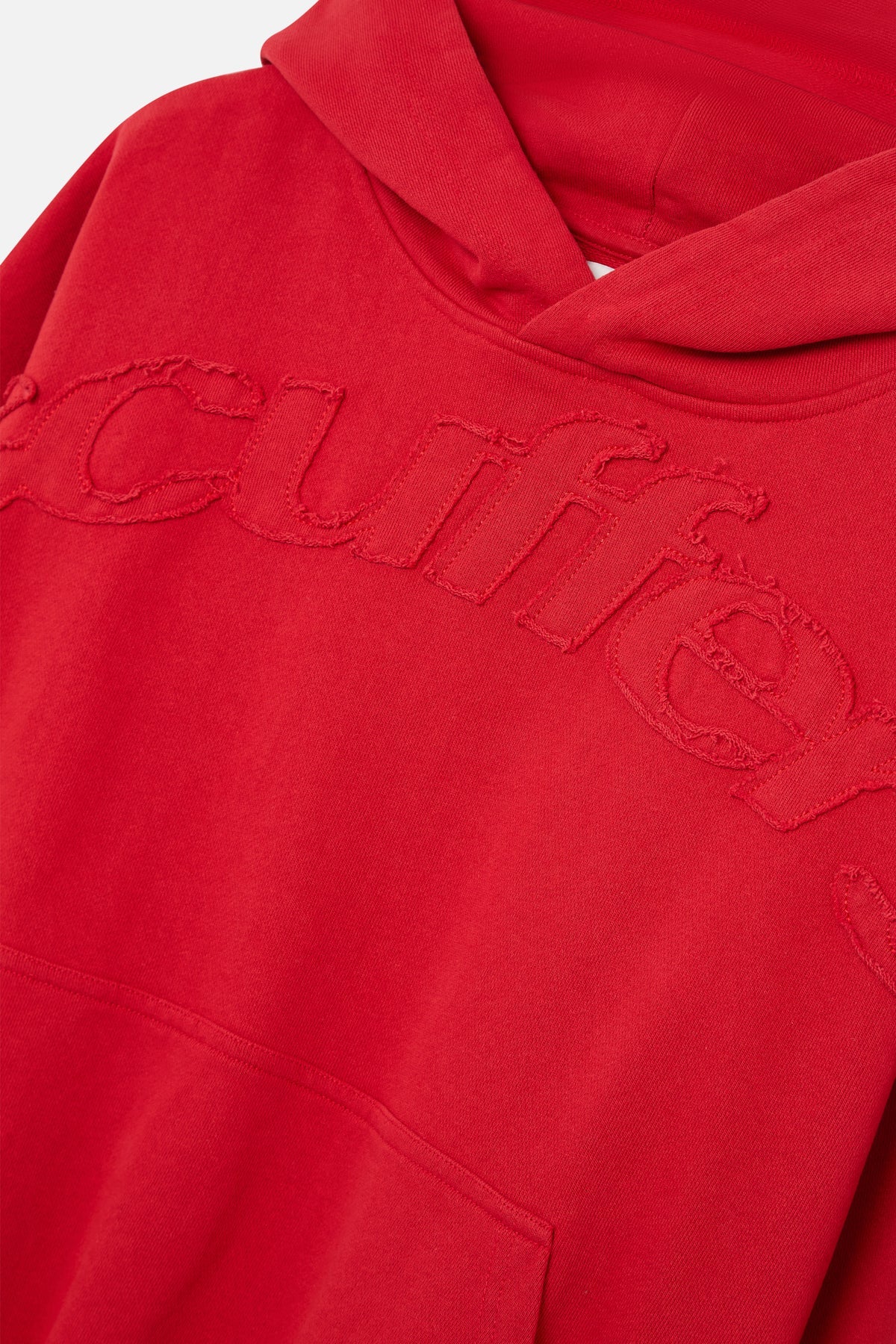 RAW WORLDWIDE HOODIE